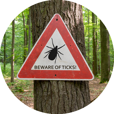 beware of ticks sign